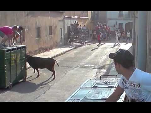 Un toro en una calle de la pedanía de Benifaraig en una edición pasada