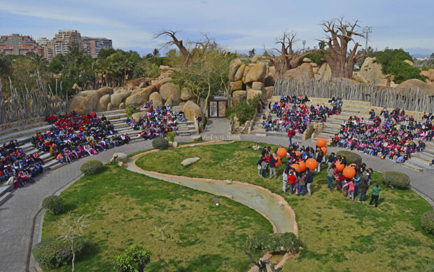 6-aniversario-de-Bioparc-Valencia-grupos-escolares-en-el-anfiteatro-28-2-14