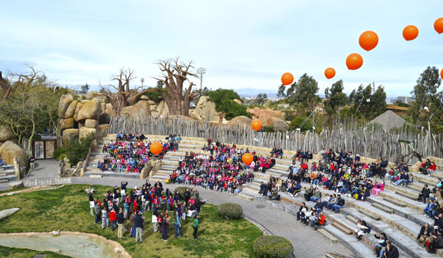 6-aniversario-de-Bioparc-Valencia-suelta-de-globos-con-mensaje-conservacionistas-(2)