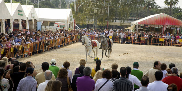gran-feria-andaluza-valencia-02