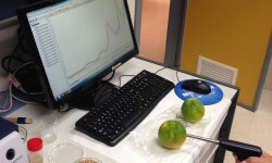 Imagen de la 'pistola' con la que se lanza sobre el fruto un haz de luz infra­rro­ja y del monitor en el que aparecen al instante los resultados de los parámetros de calidad buscados.