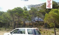 Los efectivos en plenas tareas de extinción del incendio de Benassau.