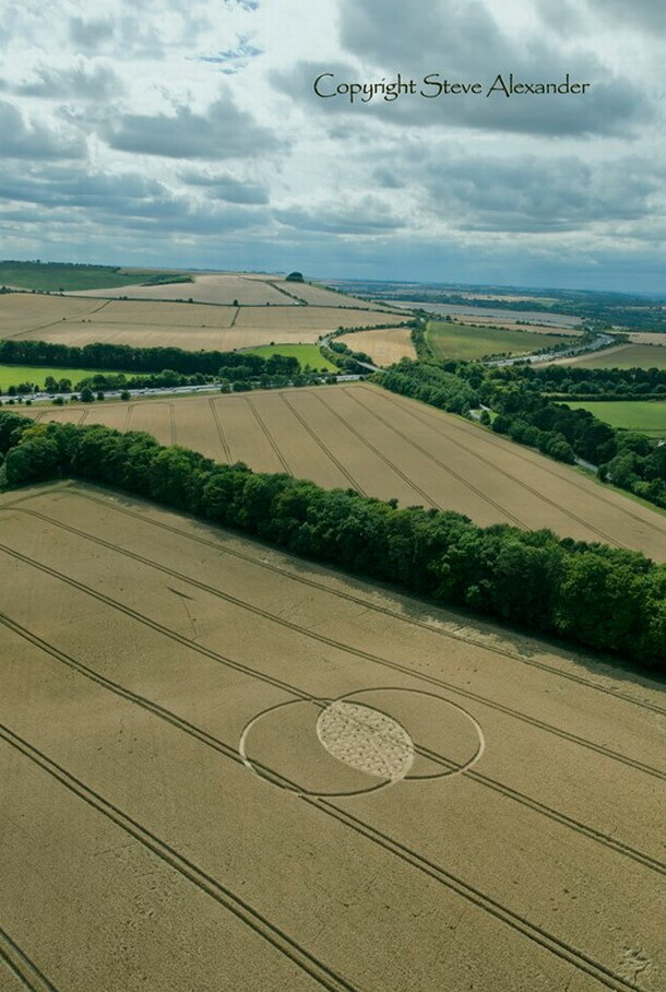 Crop Circle (1)