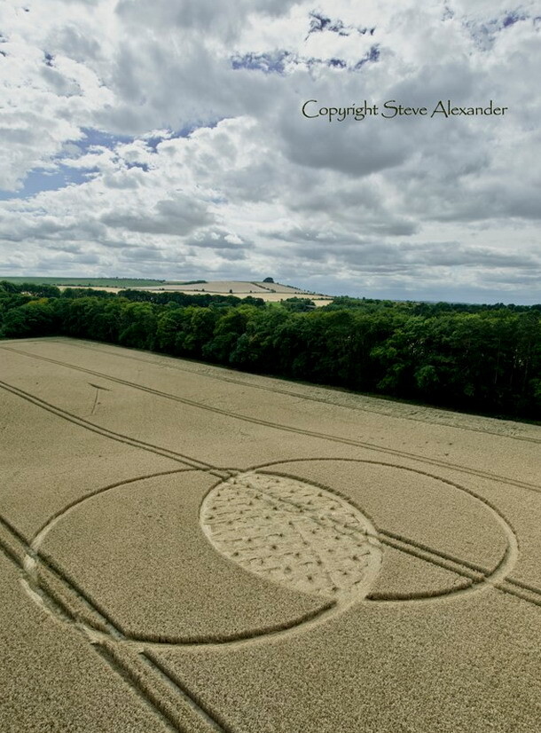 Crop Circle (3)