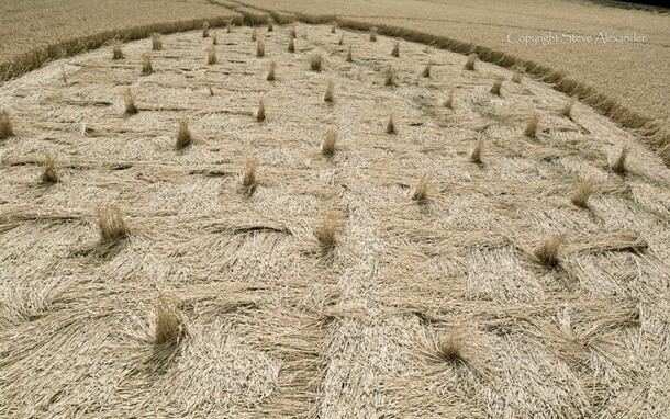 Crop Circle (4)
