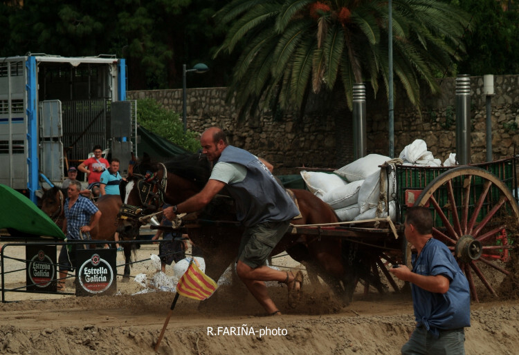 Primeras jornadas del XI Concurso de Tiro y Arrastre Ciudad de Valencia (11)