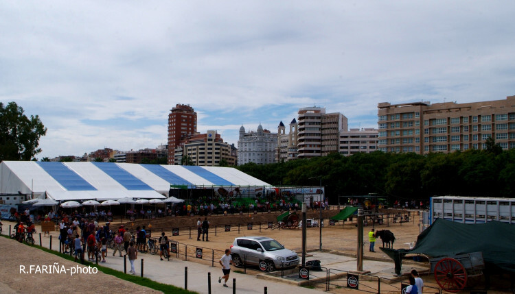 Primeras jornadas del XI Concurso de Tiro y Arrastre Ciudad de Valencia (3)