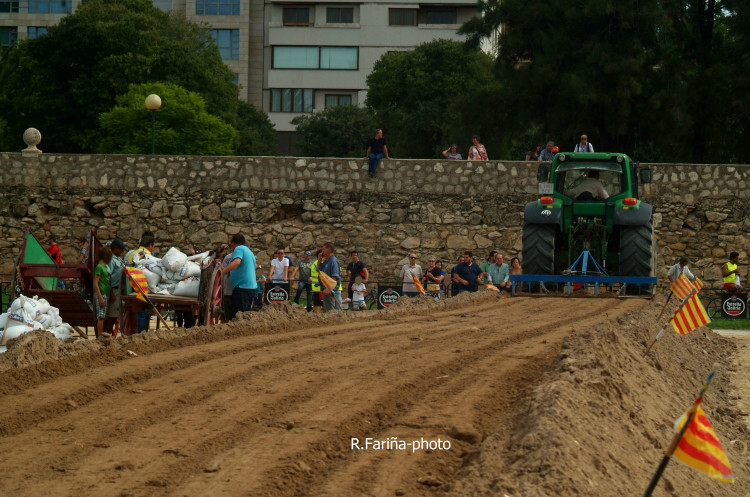 Primeras jornadas del XI Concurso de Tiro y Arrastre Ciudad de Valencia (7)