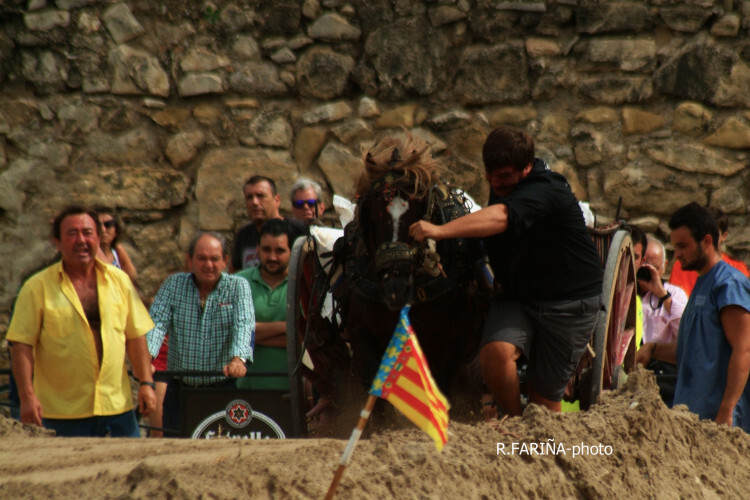 Primeras jornadas del XI Concurso de Tiro y Arrastre Ciudad de Valencia (8)