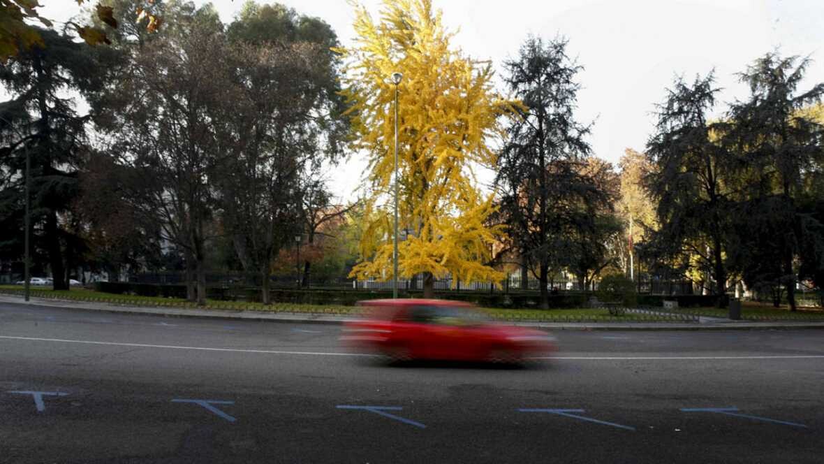 descarga