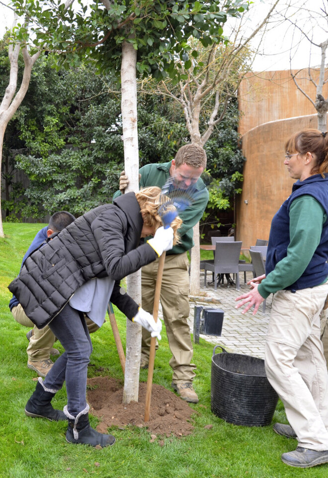 DÍA DEL ÁRBOL - BIOPARC Valencia - Sole Giménez plantando un árbol