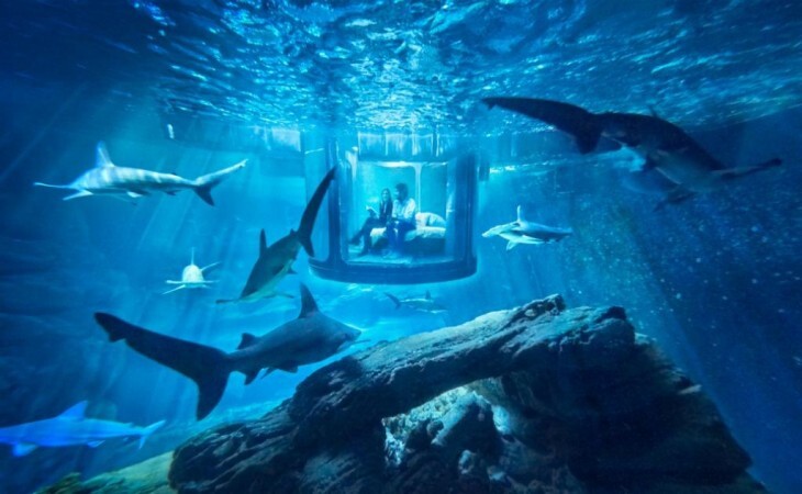 DORMIR-CON-TIBURONES-2-730x450