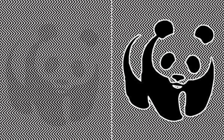 Artista-creó-una-ilusión-óptica-de-un-panda-por-estar-en-peligro-de-extinción-2