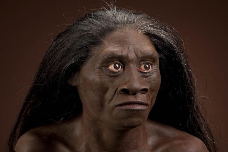 Homo-floresiensis