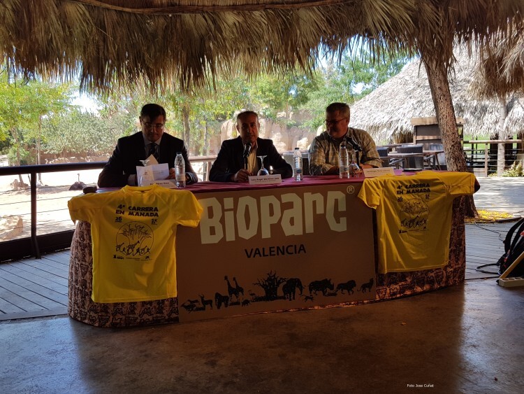 BIOPARC Valencia presenta la 4ª Carrera en Manada (42)