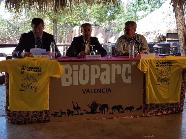BIOPARC Valencia presenta la 4ª Carrera en Manada (44)
