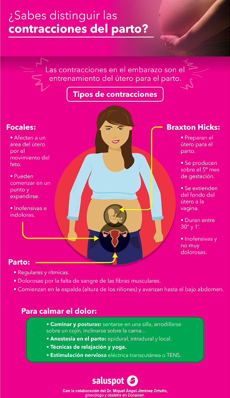 Contracciones (infografía). Dr. Miquel Àngel Jiménez Ortuño