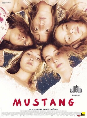 Cartel del film.
