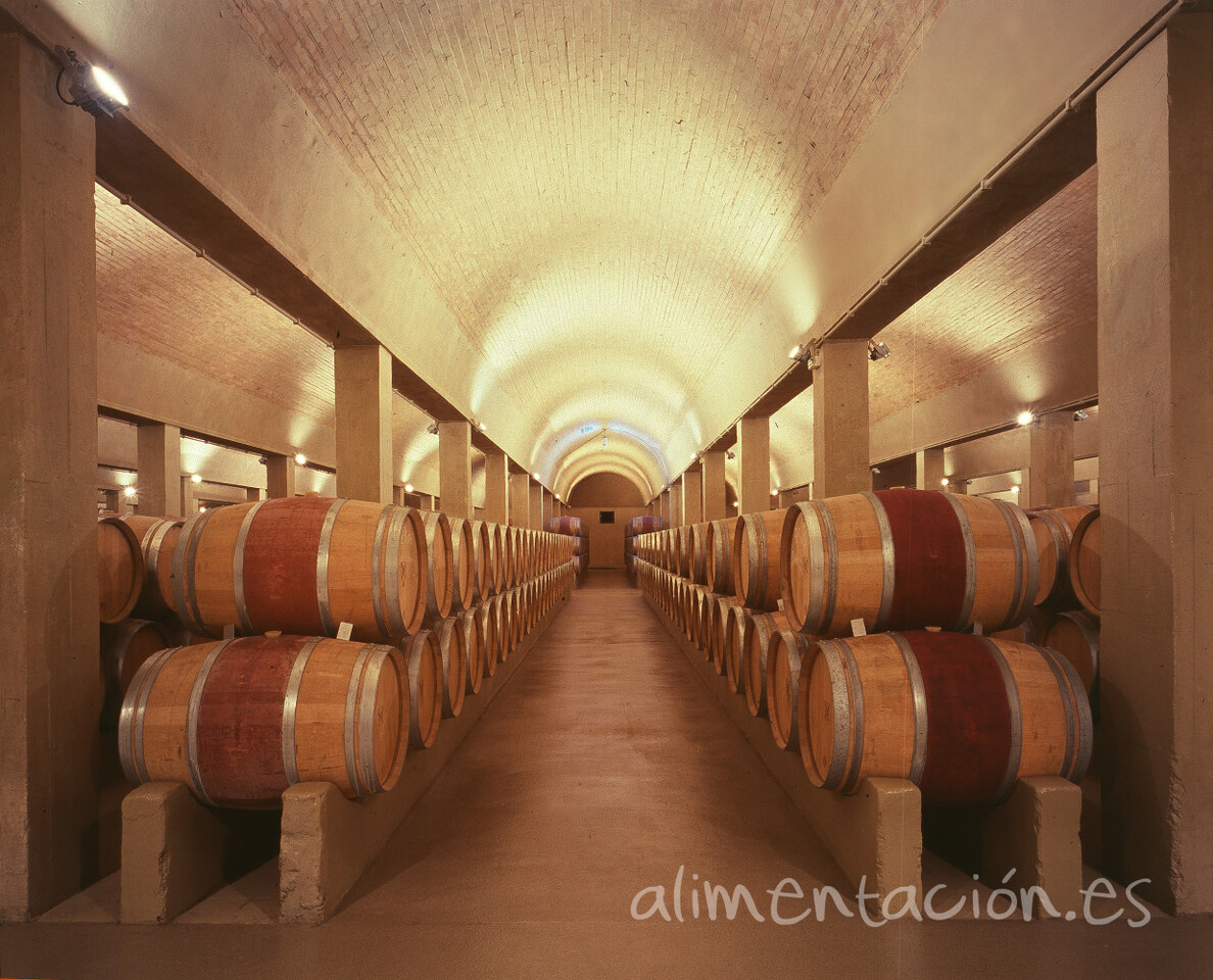 bodegasalabarricas_tcm7-390923_noticia