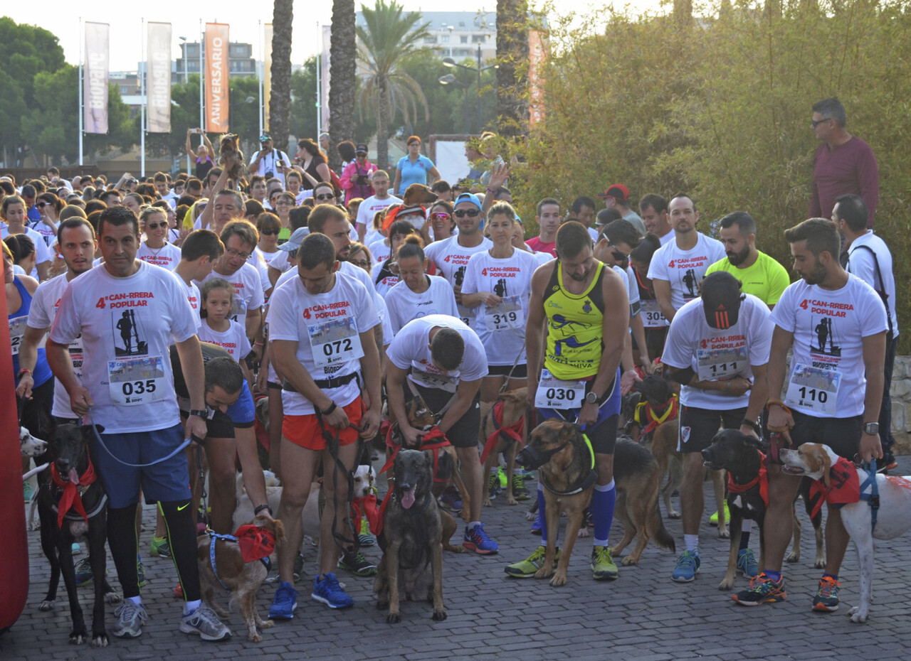 4a-can-rrera-de-valencia-momento-previo-a-la-salida