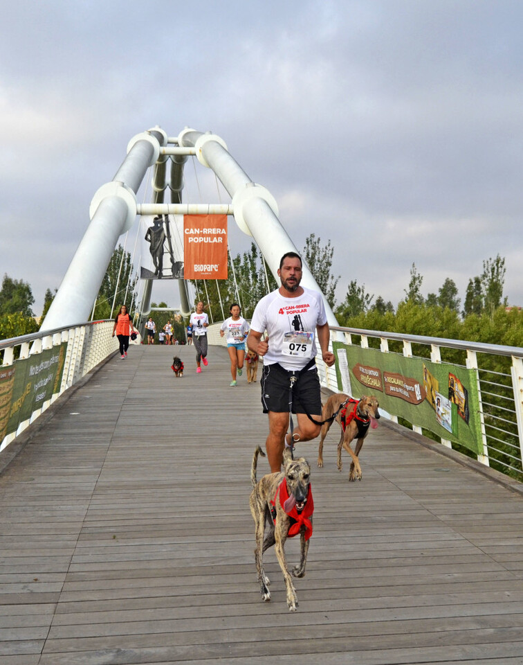 4a-can-rrera-de-valencia-participantes-2