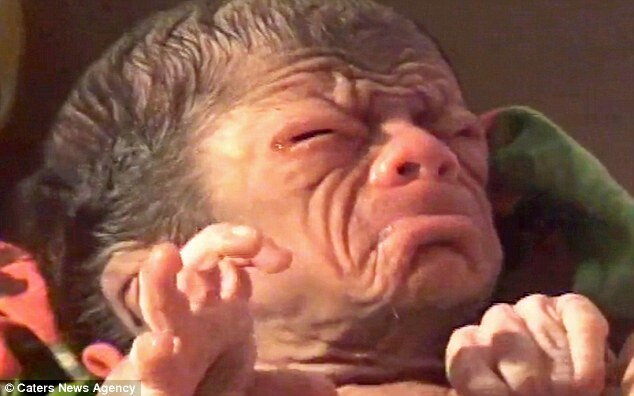 bebe-2-1