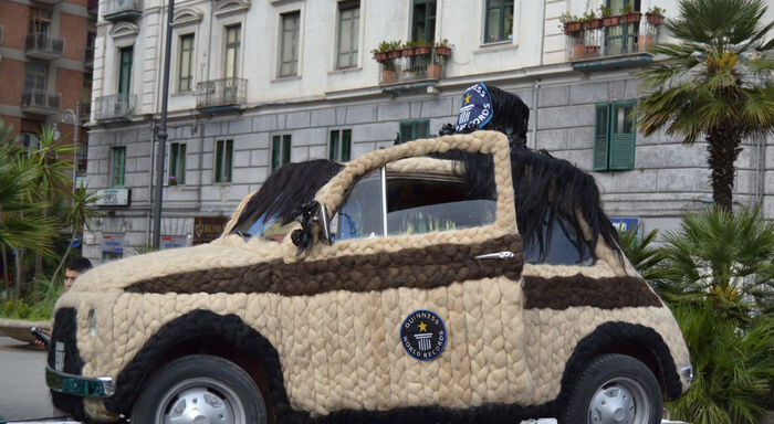 img4-subasta-coche-mas-peludo-catawiki
