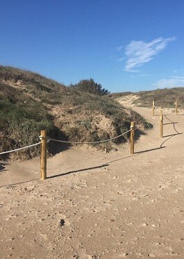 cordon-dunar-en-la-albufera