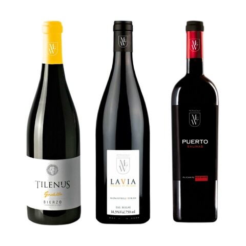 tilenus-lavia-puerto-salinas_vf