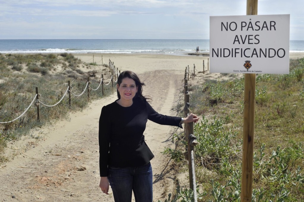 02-01-2017-platja-zona-de-dunes