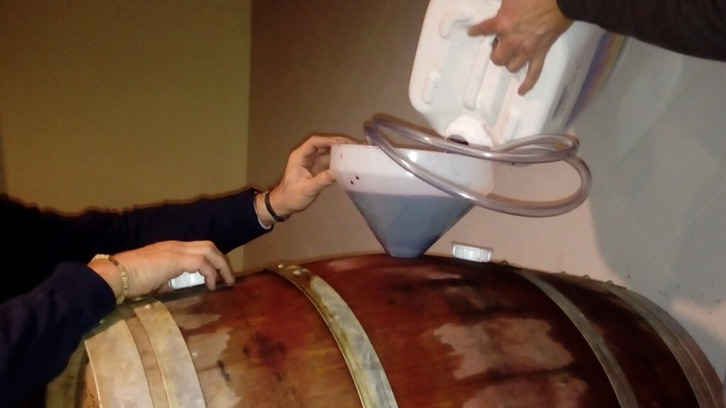 Los alumnos del Máster de Sumiller que imparte la DOP Valencia elaboraron su vino propio vino (2)