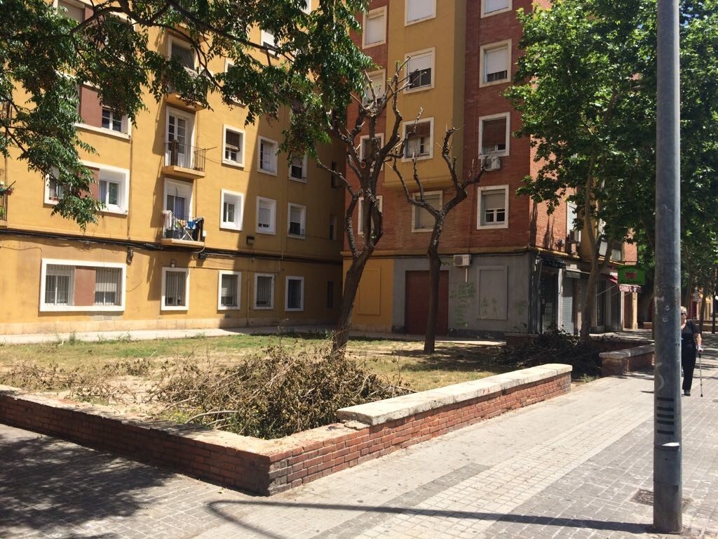 AVV Esperanza Virgen Desamparados 1