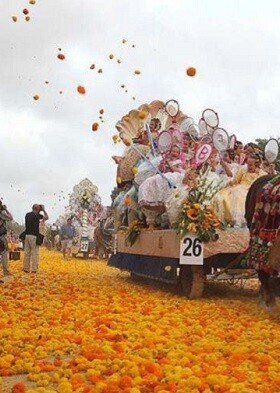 Batalla de Flores.