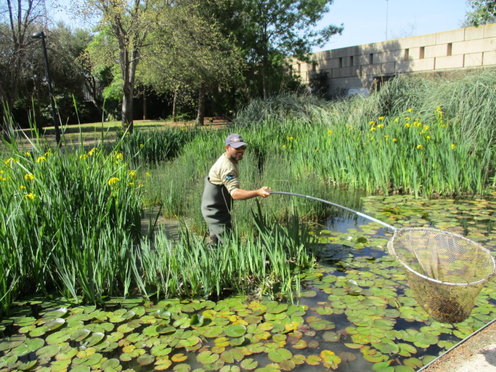 0808 Biodiversitat (1)