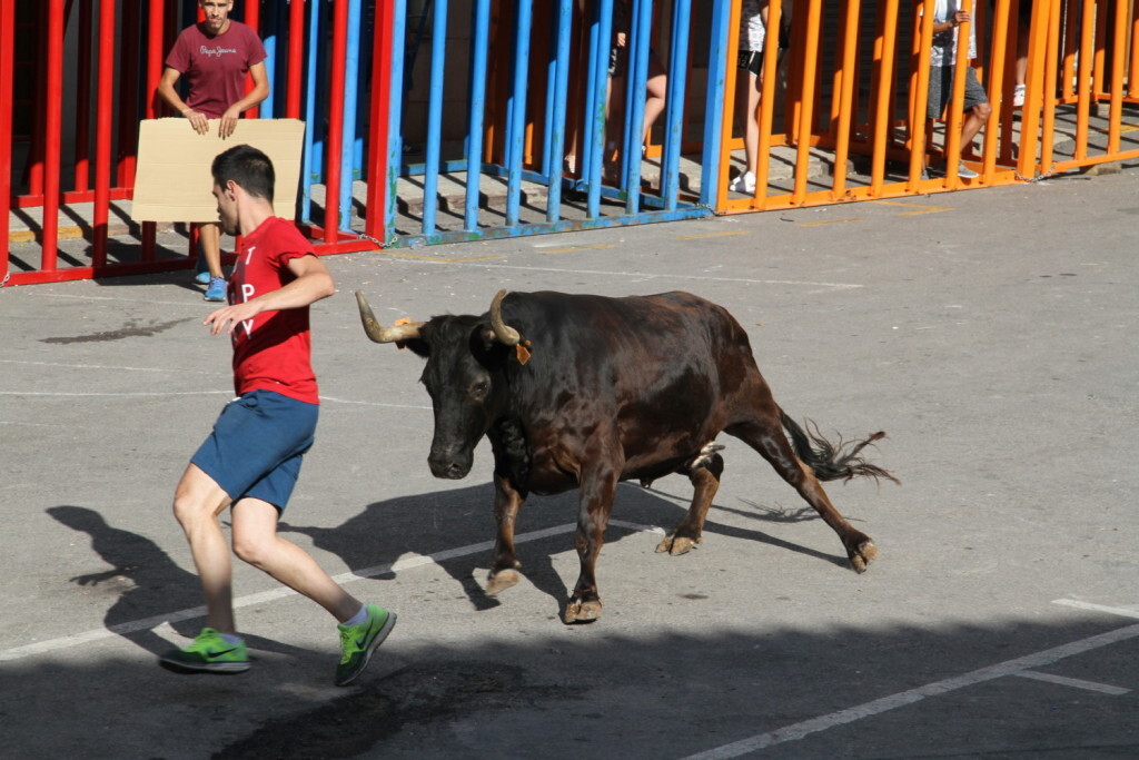 Vilafamés enceta el concurs de ramaderies (4)