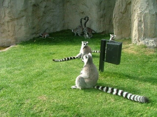 bioparc