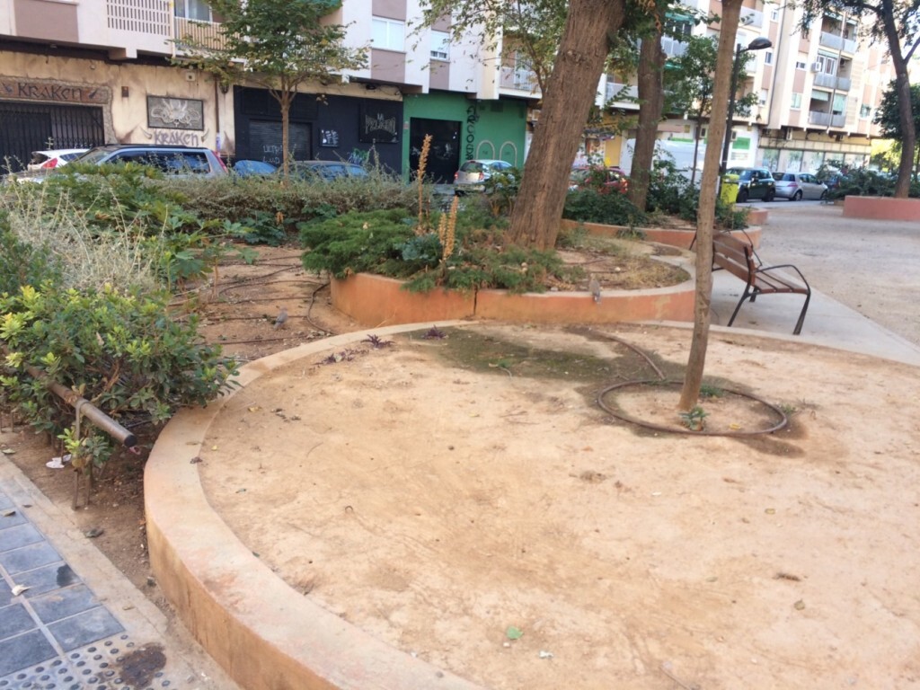 Plaza Honduras 2
