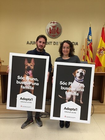 Presentación campaña.