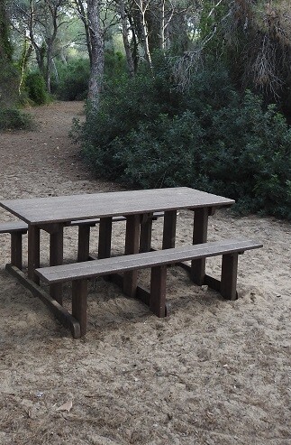 Mesa en la Albufera.