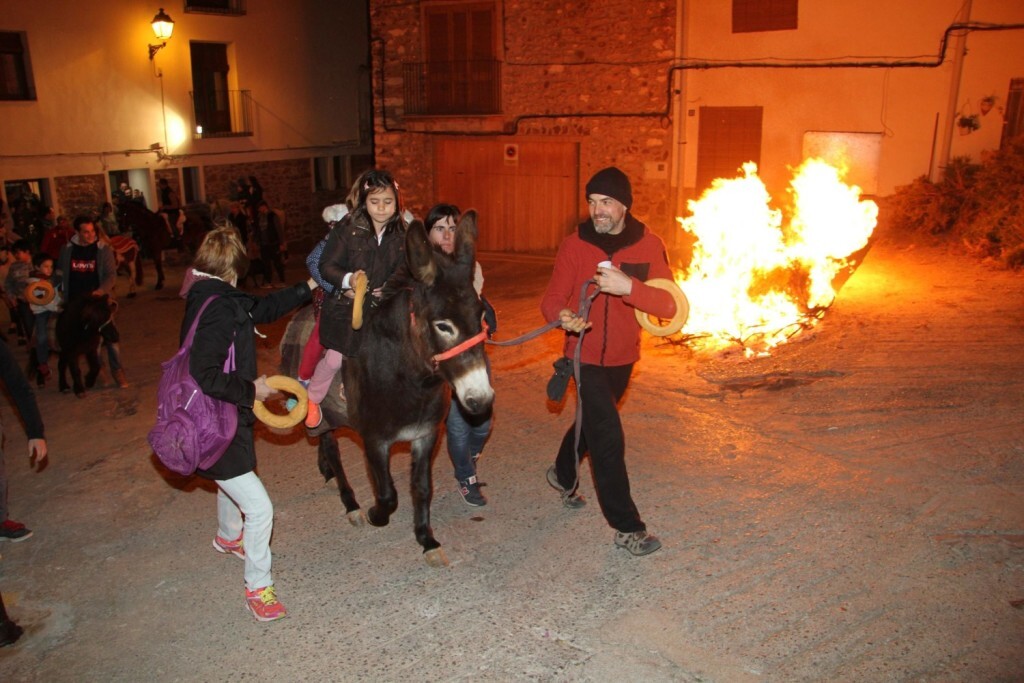 Vilafamés celebra un multitudinari Sant Antoni (3)