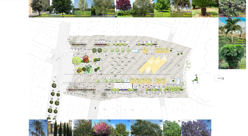 Remodelación de la plaza de la Reina Valencia (7)