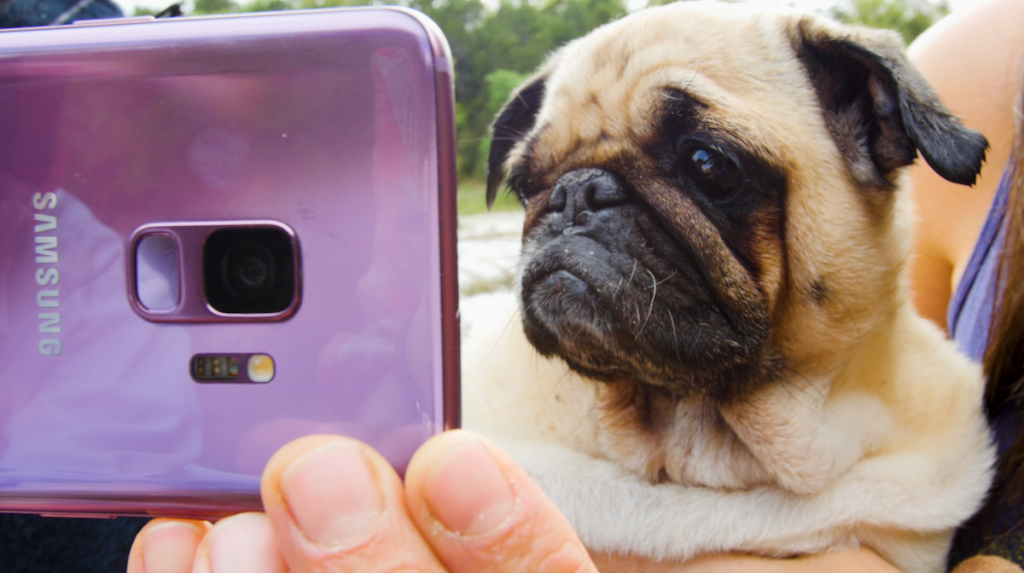 DodoLoves_Samsung
