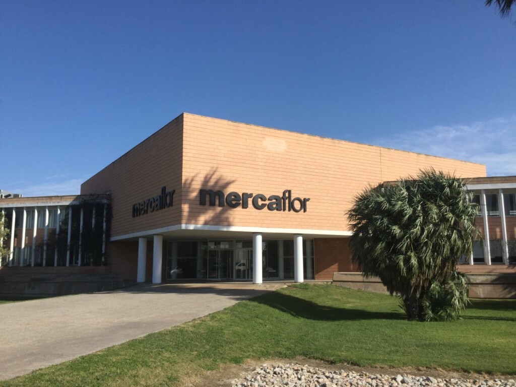 Mercaflor