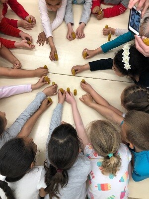 Talleres de abejas.