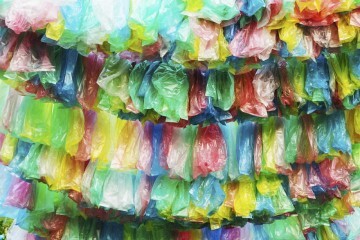 Bolsas de Plastico 3