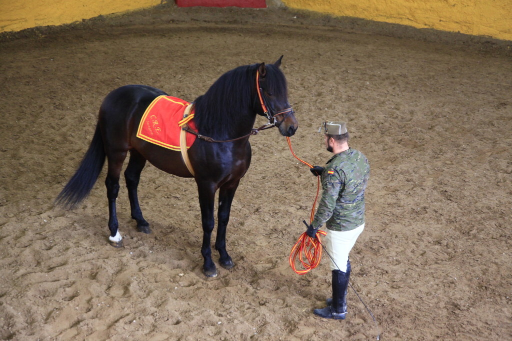 cepellon-jornadas-cria-caballar