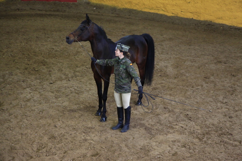 fabrilo-jornadas-cria-caballar