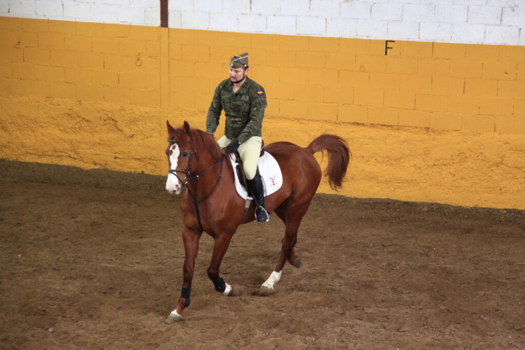 iruz-jornadas-cria-caballar