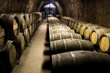 Vino 11022016-barriles-vino
