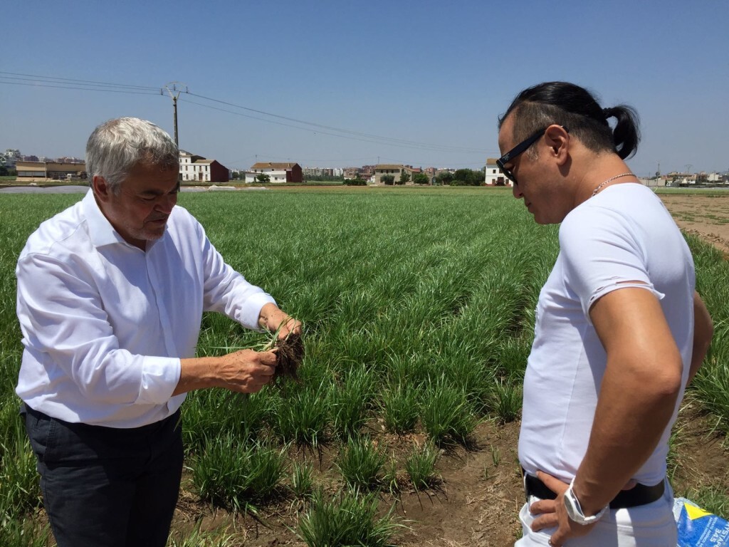 El embajador en el mundo del Té Matcha, Chez Shibata visita Xufatopía (1)